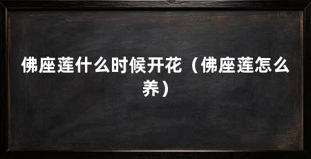 佛座莲什么时候开花（佛座莲怎么养）