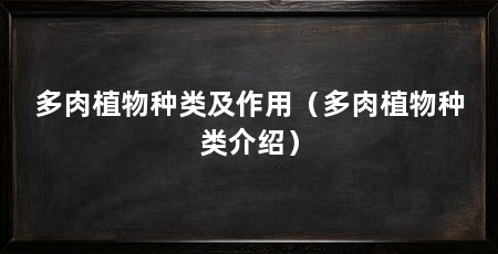 多肉植物种类及作用(多肉植物种类介绍)
