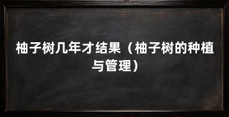 柚子树几年才结果(柚子树的种植与管理)