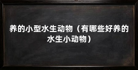 养的小型水生动物（有哪些好养的水生小动物）