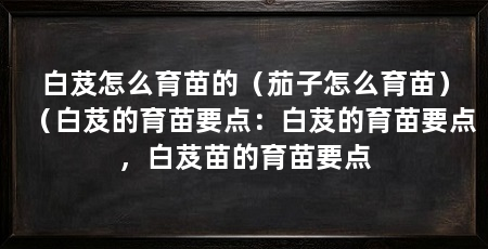 白芨怎么育苗的（茄子怎么育苗）（白芨的育苗要点：白芨的育苗要点，白芨苗的育苗要点