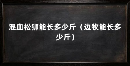 混血松狮能长多少斤（边牧能长多少斤）