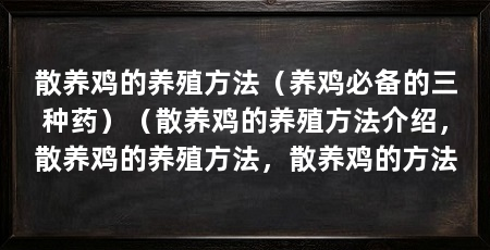 散养鸡的养殖方法(养鸡必备的三种药)(散养鸡的养殖方法介绍,散养鸡的养殖方法,散养鸡的方法