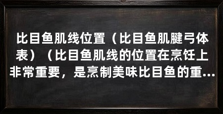 比目鱼肌线位置(比目鱼肌腱弓体表)(比目鱼肌线的位置在烹饪上非常重要,是烹制美味比目鱼的重要部分