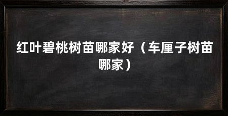 红叶碧桃树苗哪家好（车厘子树苗哪家）