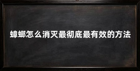 蟑螂怎么消灭最彻底最有效的方法