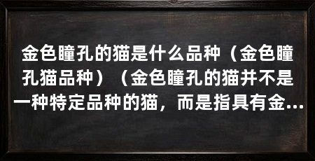 金色瞳孔的猫是什么品种（金色瞳孔猫品种）（金色瞳孔的猫并不是一种特定品种的猫，而是指具有金黄色或橙黄色的猫