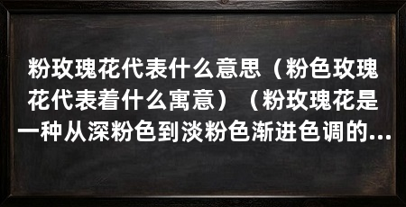 粉玫瑰花代表什么意思（粉色玫瑰花代表着什么寓意）（粉玫瑰花是一种从深粉色到淡粉色渐进色调的渐进色调