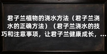 君子兰植物的浇水方法（君子兰浇水的正确方法）（君子兰浇水的技巧和注意事项，让君子兰健康成长，健康成长