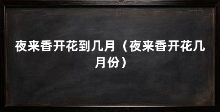 夜来香开花到几月(夜来香开花几月份)