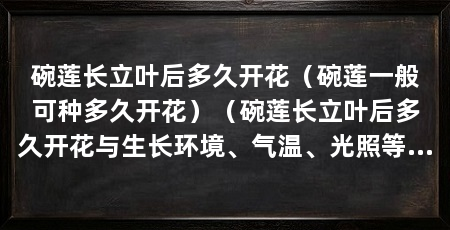 碗莲长立叶后多久开花(碗莲一般可种多久开花)(碗莲长立叶后多久开花与生长环境、气温、光照等因素密切相关