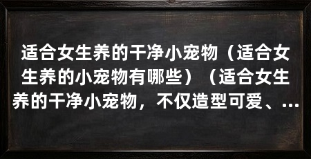 适合女生养的干净小宠物（适合女生养的小宠物有哪些）（适合女生养的干净小宠物，不仅造型可爱、干净，而且容易产生异味