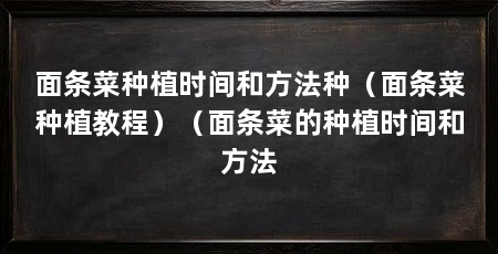 面条菜种植时间和方法种(面条菜种植教程)(面条菜的种植时间和方法