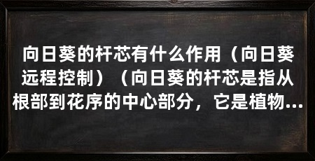 向日葵的杆芯有什么作用(向日葵远程控制)(向日葵的杆芯是指从根部到花序的中心部分,它是植物的主干