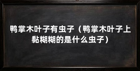 鸭掌木叶子有虫子(鸭掌木叶子上黏糊糊的是什么虫子)