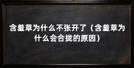 含羞草为什么不张开了（含羞草为什么会合拢的原因）