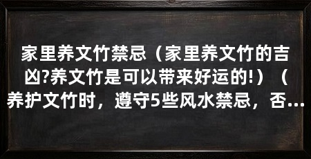 家里养文竹禁忌(家里养文竹的吉凶?养文竹是可以带来好运的!)(养护文竹时,遵守5些风水禁忌,否则可能影响家庭运势