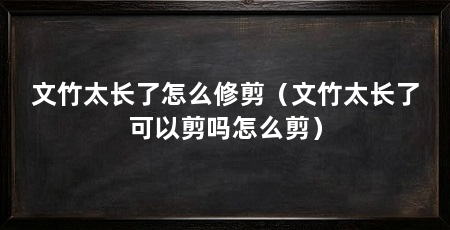 文竹太长了怎么修剪（文竹太长了可以剪吗怎么剪）