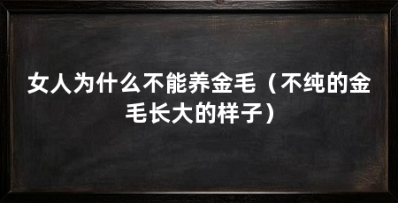 女人为什么不能养金毛(不纯的金毛长大的样子)