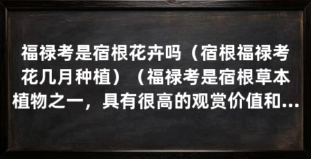 福禄考是宿根花卉吗(宿根福禄考花几月种植)(福禄考是宿根草本植物之一,具有很高的观赏价值和园艺推广前景