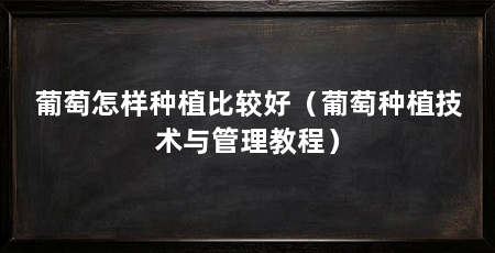 葡萄怎样种植比较好(葡萄种植技术与管理教程)