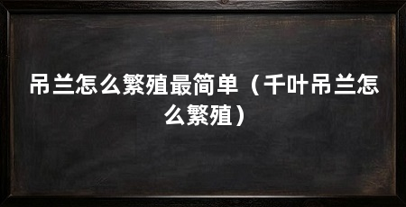 吊兰怎么繁殖最简单（千叶吊兰怎么繁殖）