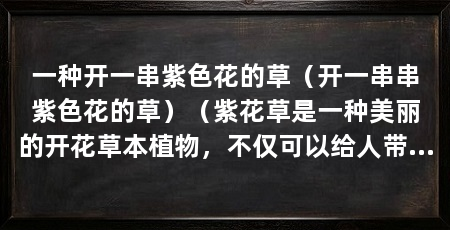 一种开一串紫色花的草(开一串串紫色花的草)(紫花草是一种美丽的开花草本植物,不仅可以给人带来美丽的观赏效果