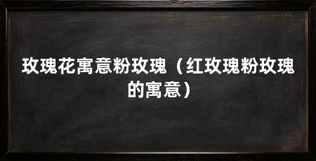 玫瑰花寓意粉玫瑰(红玫瑰粉玫瑰的寓意)