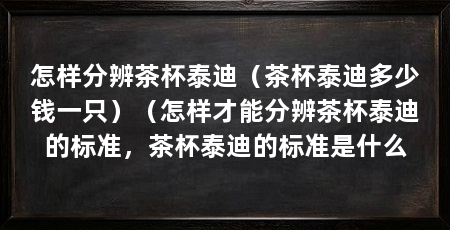 怎样分辨茶杯泰迪（茶杯泰迪多少钱一只）（怎样才能分辨茶杯泰迪的标准，茶杯泰迪的标准是什么