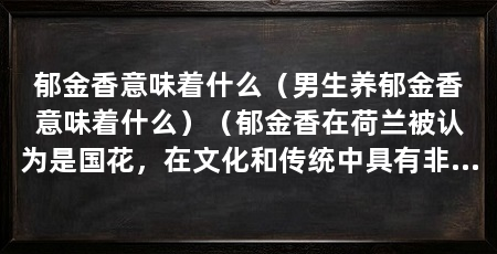 郁金香意味着什么(男生养郁金香意味着什么)(郁金香在荷兰被认为是国花,在文化和传统中具有非常重要的意义