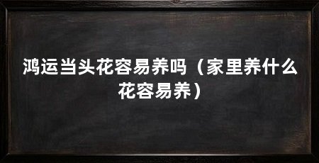 鸿运当头花容易养吗(家里养什么花容易养)