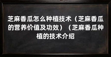 芝麻香瓜怎么种植技术(芝麻香瓜的营养价值及功效)(芝麻香瓜种植的技术介绍