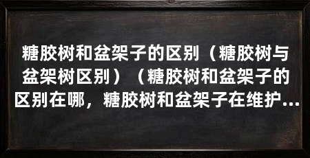 糖胶树和盆架子的区别(糖胶树与盆架树区别)(糖胶树和盆架子的区别在哪,糖胶树和盆架子在维护上有区别