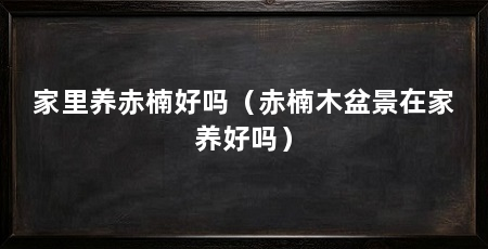 家里养赤楠好吗(赤楠木盆景在家养好吗)