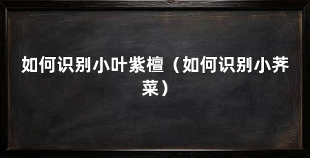 如何识别小叶紫檀（如何识别小荠菜）