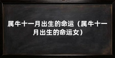 属牛十一月出生的命运(属牛十一月出生的命运女)