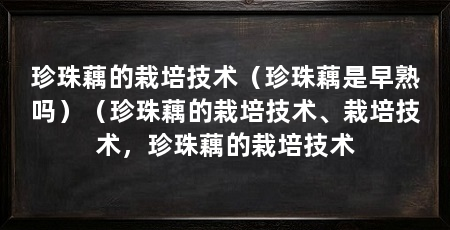 珍珠藕的栽培技术（珍珠藕是早熟吗）（珍珠藕的栽培技术、栽培技术，珍珠藕的栽培技术