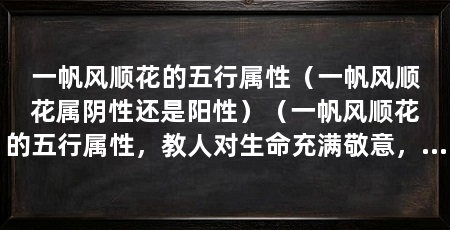 一帆风顺花的五行属性(一帆风顺花属阴性还是阳性)(一帆风顺花的五行属性,教人对生命充满敬意,感受人生的美好