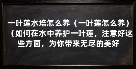 一叶莲水培怎么养（一叶莲怎么养）（如何在水中养护一叶莲，注意好这些方面，为你带来无尽的美好