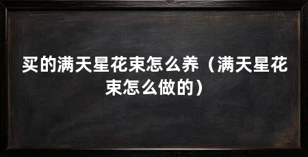 买的满天星花束怎么养（满天星花束怎么做的）