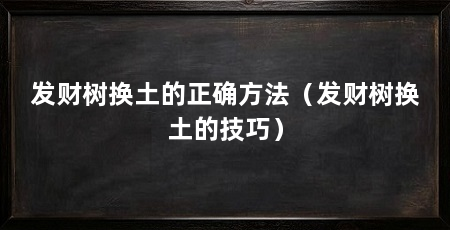 发财树换土的正确方法(发财树换土的技巧)