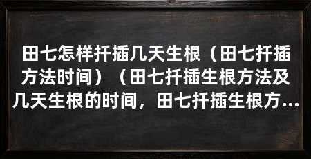 田七怎样扦插几天生根(田七扦插方法时间)(田七扦插生根方法及几天生根的时间,田七扦插生根方法