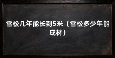 雪松几年能长到5米（雪松多少年能成材）