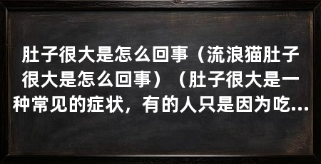 肚子很大是怎么回事(流浪猫肚子很大是怎么回事)(肚子很大是一种常见的症状,有的人只是因为吃太多了