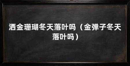 洒金珊瑚冬天落叶吗（金弹子冬天落叶吗）
