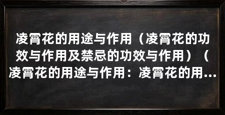 凌霄花的用途与作用（凌霄花的功效与作用及禁忌的功效与作用）（凌霄花的用途与作用：凌霄花的用途与作用