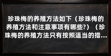 珍珠梅的养殖方法如下（珍珠梅的养殖方法和注意事项有哪些?）（珍珠梅的养殖方法只有按照适当的措施来维护珍珠梅的生长