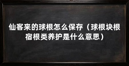仙客来的球根怎么保存(球根块根宿根类养护是什么意思)