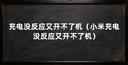 充电没反应又开不了机(小米充电没反应又开不了机)