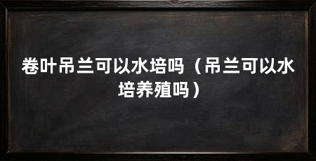 卷叶吊兰可以水培吗（吊兰可以水培养殖吗）